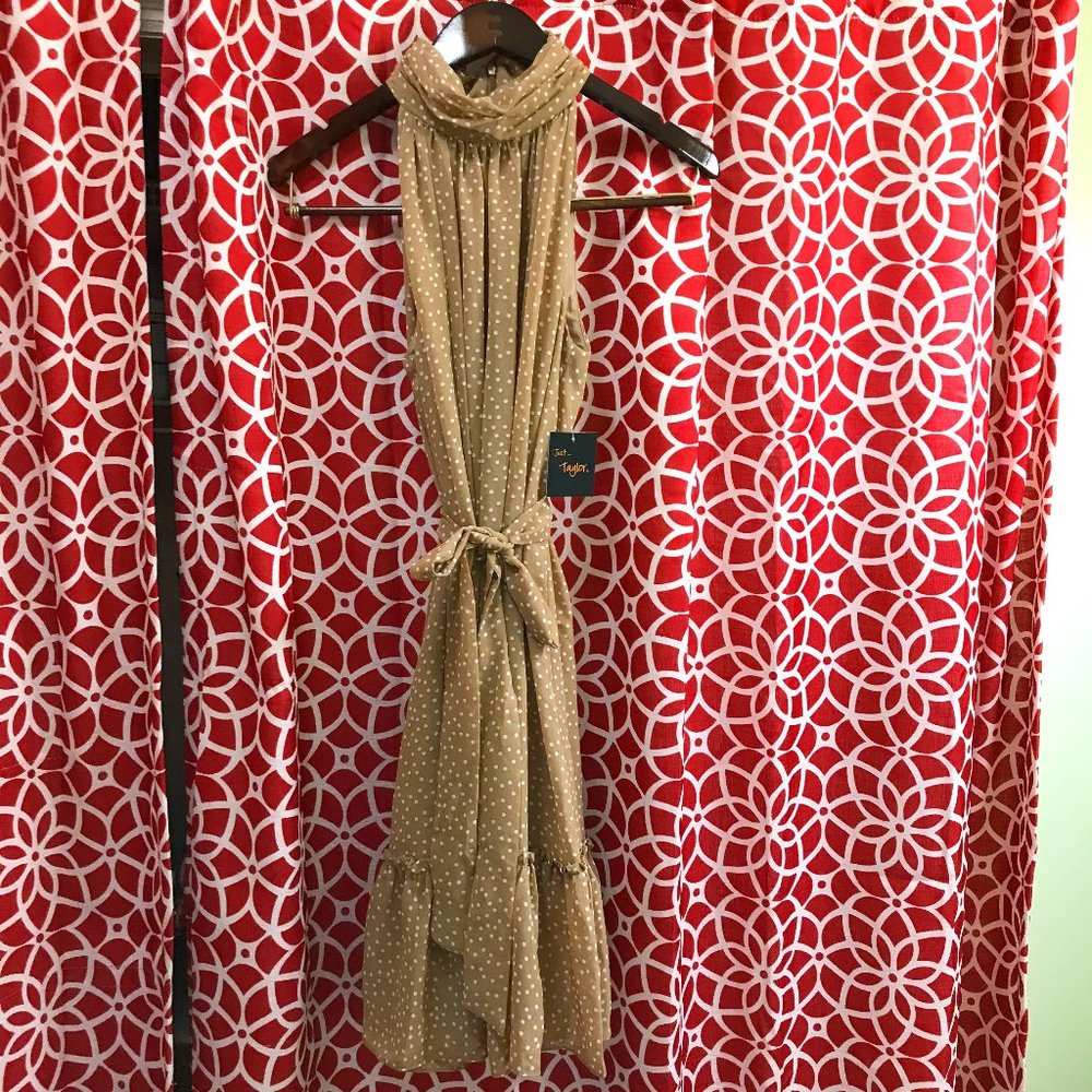 Cute, never worn dress!